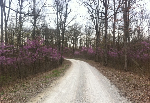 Lockegee Rock and Cave Run Lake